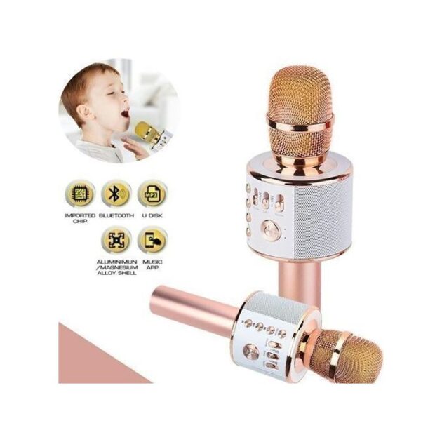 الميكروفون العجيب