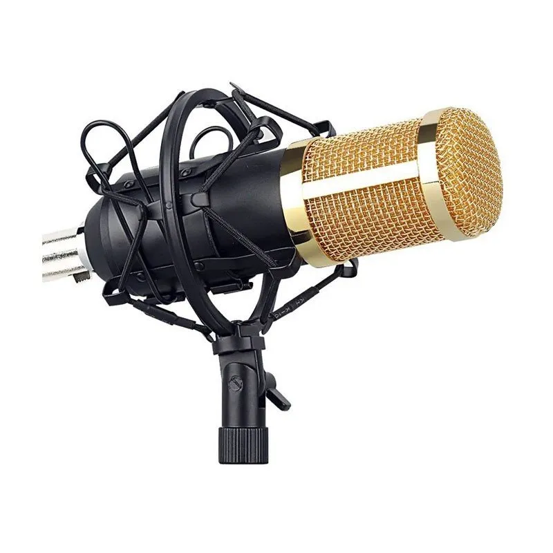 ميكروفون احترافي من نوع Legendary Vocal Condenser - الصورة 4