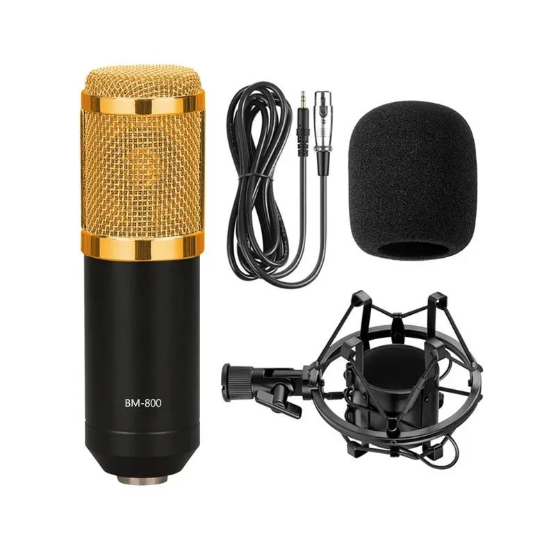 ميكروفون احترافي من نوع Legendary Vocal Condenser - الصورة 3